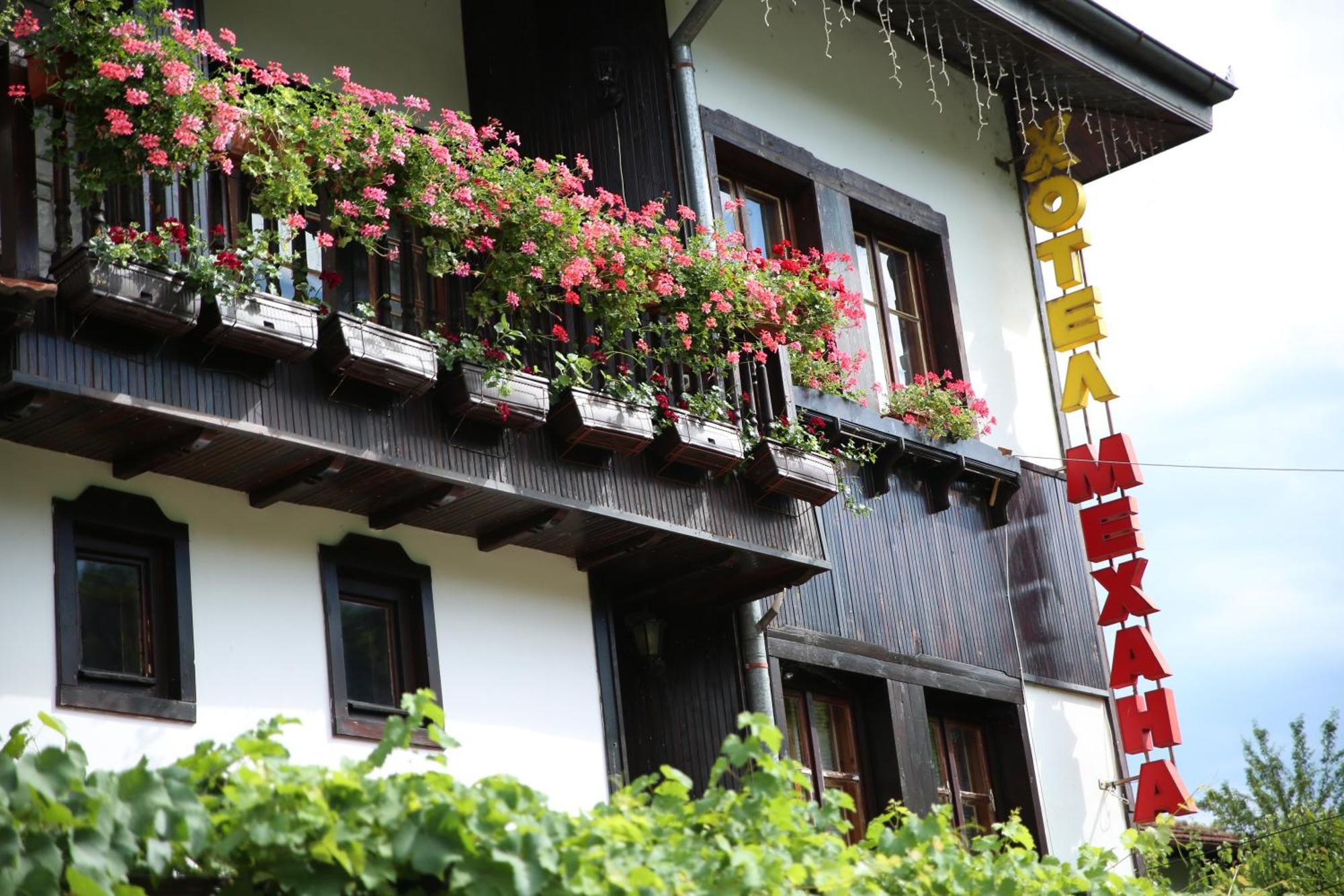 Oazis Family Hotel Lovech Bagian luar foto
